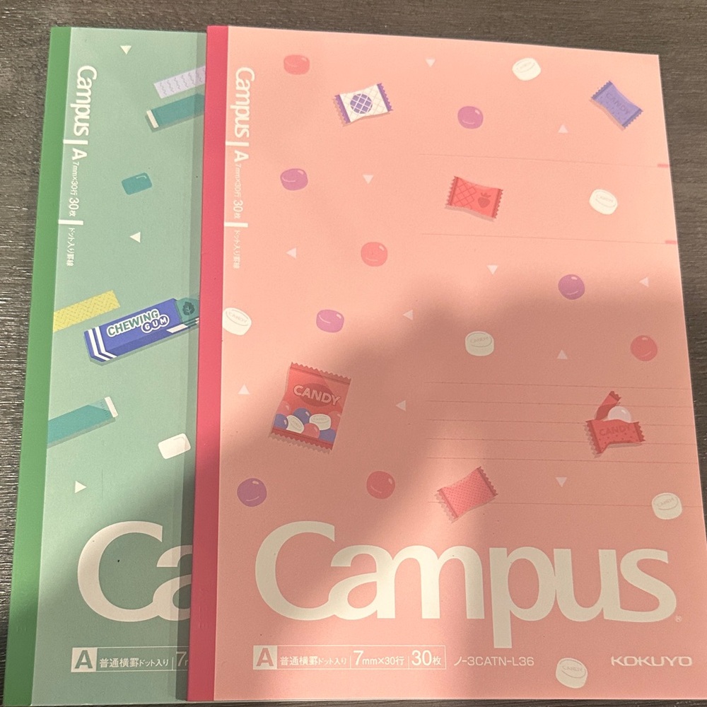 Campus Notebooks - Pink and Green Japanese Stationary